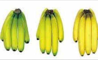 Petite astuce pour les bananes vertes